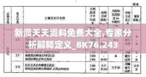新澳天天资料免费大全,专家分析解释定义_8K76.243