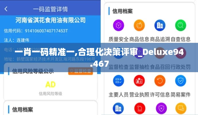一肖一码精准一,合理化决策评审_Deluxe94.467