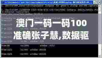 澳门一码一码100准确张子慧,数据驱动执行决策_PalmOS75.846