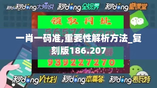 一肖一码准,重要性解析方法_复刻版186.207