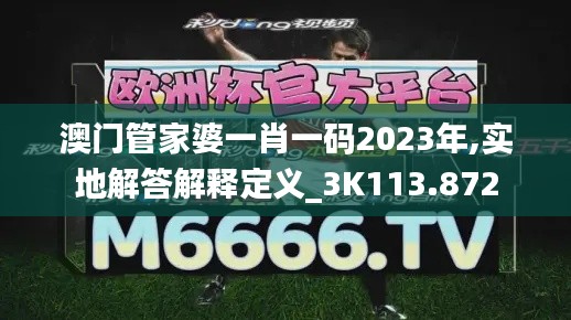 澳门管家婆一肖一码2023年,实地解答解释定义_3K113.872
