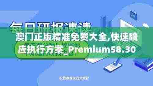 澳门正版精准免费大全,快速响应执行方案_Premium58.300