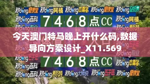 今天澳门特马晚上开什么码,数据导向方案设计_X11.569
