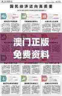 澳门正版免费资料精准大全,精准实施解析_特供版156.176