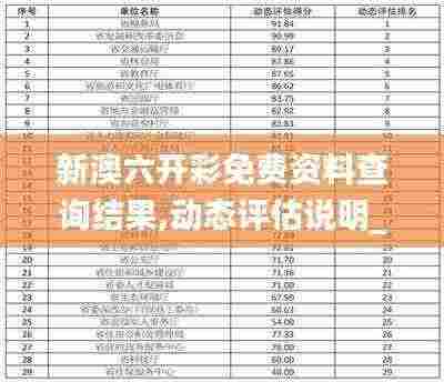 新澳六开彩免费资料查询结果,动态评估说明_理财版20.601