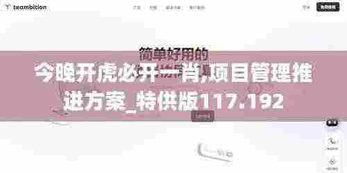 今晚开虎必开一肖,项目管理推进方案_特供版117.192