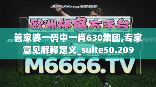 管家婆一码中一肖630集团,专家意见解释定义_suite50.209