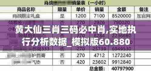 黄大仙三肖三码必中肖,实地执行分析数据_模拟版60.880