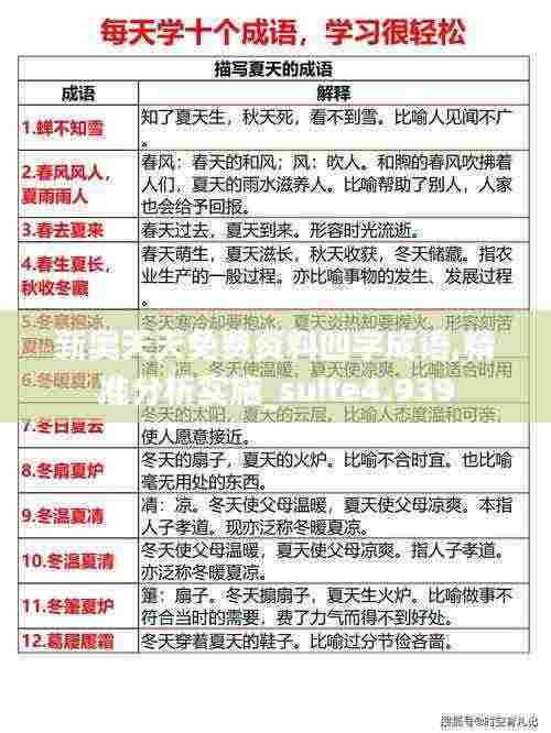 新奥天天免费资料四字成语,精准分析实施_suite4.939