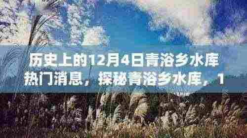 探秘青浴乡水库，揭秘历史热门消息与不为人知的秘密，探寻小巷深处的独特风情（12月4日）