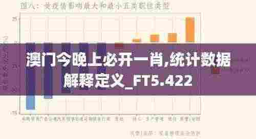 澳门今晚上必开一肖,统计数据解释定义_FT5.422