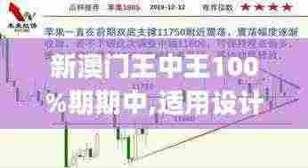 新澳门王中王100%期期中,适用设计解析策略_轻量版1.910