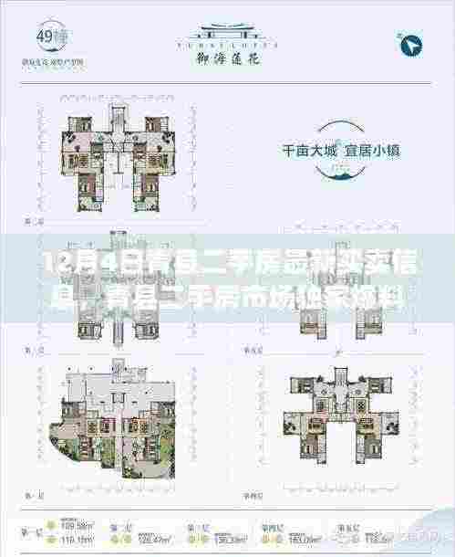 青县二手房市场独家爆料，最新买卖信息大揭秘（12月4日）
