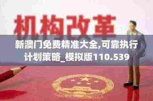 新澳门免费精准大全,可靠执行计划策略_模拟版110.539