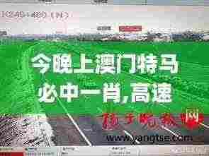 今晚上澳门特马必中一肖,高速规划响应方案_8K1.205