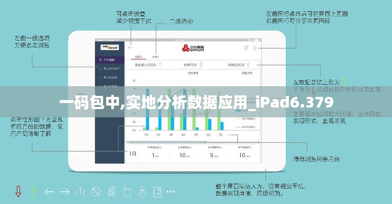一码包中,实地分析数据应用_iPad6.379