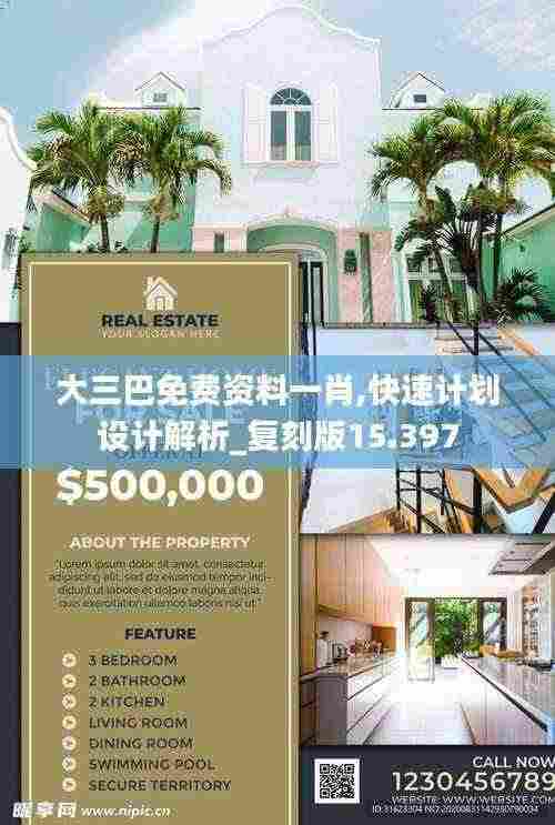 大三巴免费资料一肖,快速计划设计解析_复刻版15.397