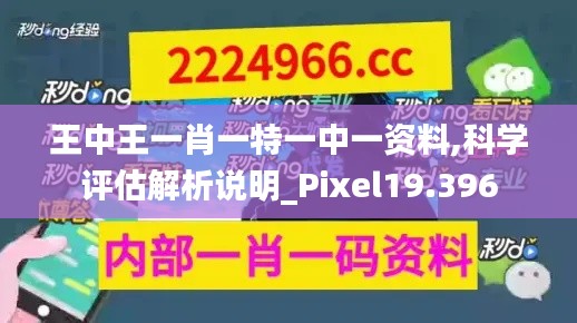 王中王一肖一特一中一资料,科学评估解析说明_Pixel19.396