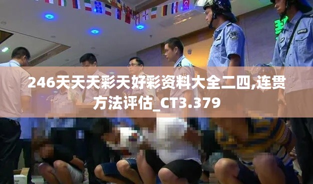 246天天天彩天好彩资料大全二四,连贯方法评估_CT3.379