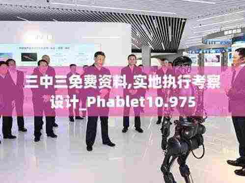 三中三免费资料,实地执行考察设计_Phablet10.975