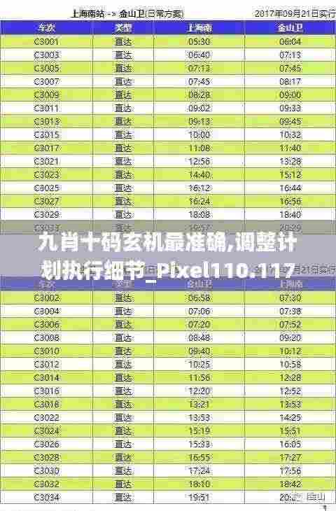 九肖十码玄机最准确,调整计划执行细节_Pixel110.117