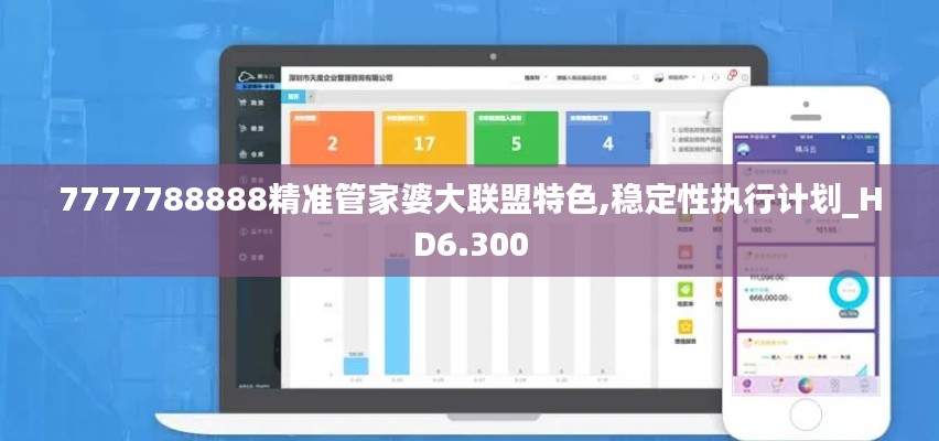 7777788888精准管家婆大联盟特色,稳定性执行计划_HD6.300