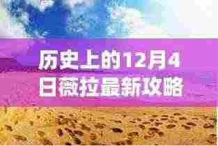薇拉最新攻略，探寻自然美景之旅，于12月4日启程寻找内心的宁静与平和