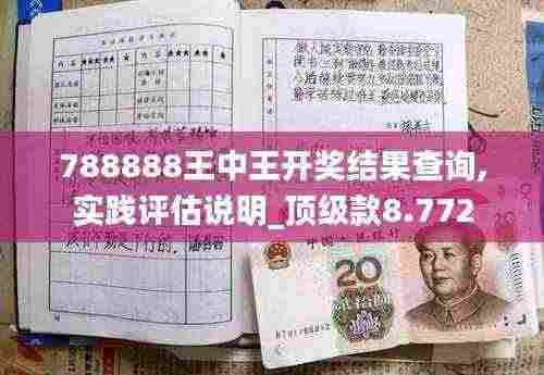 788888王中王开奖结果查询,实践评估说明_顶级款8.772