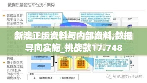 新澳正版资料与内部资料,数据导向实施_挑战款17.748