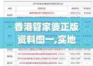 香港管家婆正版资料图一,实地验证分析_2DM4.850