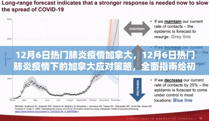 加拿大肺炎疫情全面指南，从初学者到进阶用户的应对策略（12月6日更新）