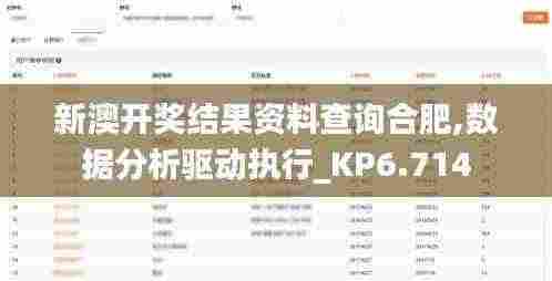 新澳开奖结果资料查询合肥,数据分析驱动执行_KP6.714