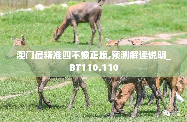 澳门最精准四不像正版,预测解读说明_BT110.110