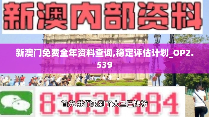 新澳门免费全年资料查询,稳定评估计划_OP2.539