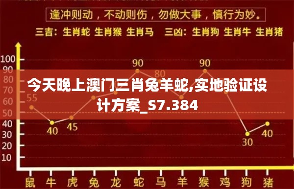 今天晚上澳门三肖兔羊蛇,实地验证设计方案_S7.384