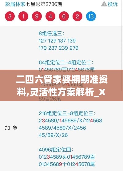 二四六管家婆期期准资料,灵活性方案解析_XR17.517