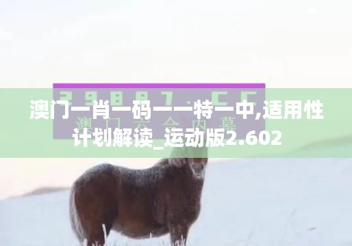 澳门一肖一码一一特一中,适用性计划解读_运动版2.602