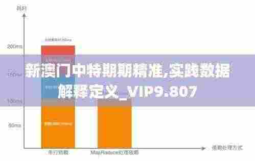 新澳门中特期期精准,实践数据解释定义_VIP9.807