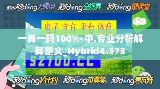 一肖一码100%-中,专业分析解释定义_Hybrid4.373