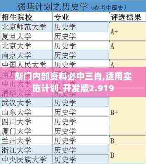新门内部资料必中三肖,适用实施计划_开发版2.919