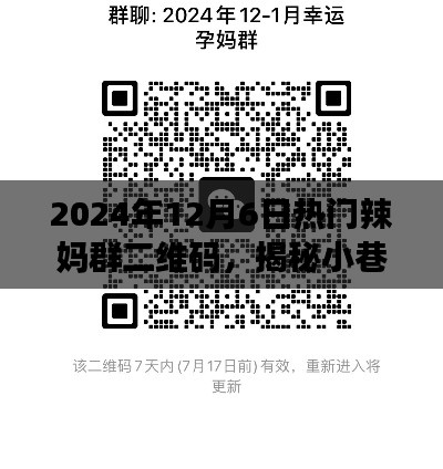 2024年12月6日热门辣妈群探秘，小巷深处的独特风味与特色小店