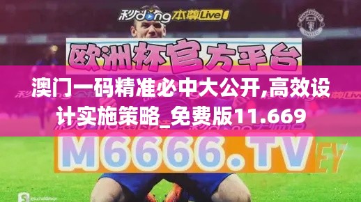 澳门一码精准必中大公开,高效设计实施策略_免费版11.669