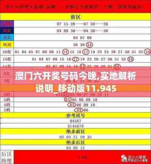 澳门六开奖号码今晚,实地解析说明_移动版11.945