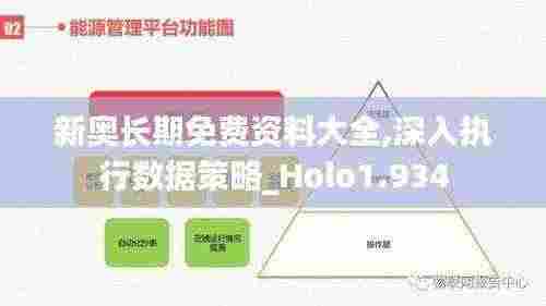 新奥长期免费资料大全,深入执行数据策略_Holo1.934