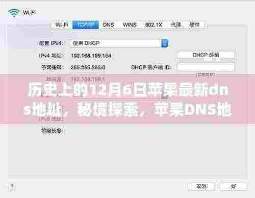 揭秘苹果DNS地址背后的故事，秘境探索与小巷深处的独特风味——历史上的12月6日最新DNS地址解析