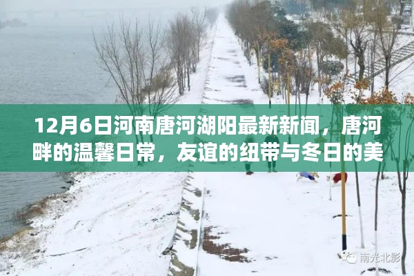唐河湖阳最新动态，友谊纽带缔造冬日温馨日常（附精彩瞬间）
