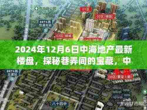 中海地产新楼盘探秘，巷弄宝藏与独特小店故事揭晓（2024年12月6日最新资讯）