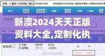 新澳2024天天正版资料大全,定制化执行方案分析_eShop8.238