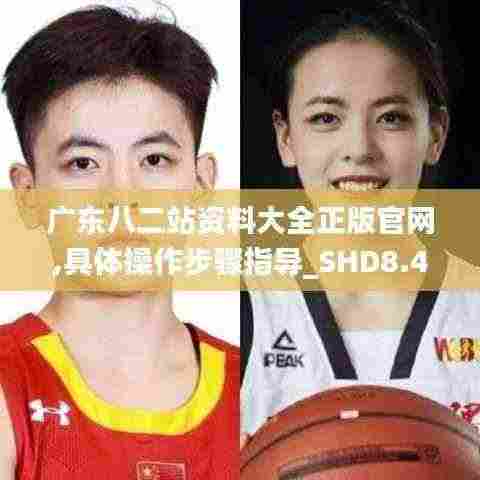 广东八二站资料大全正版官网,具体操作步骤指导_SHD8.475