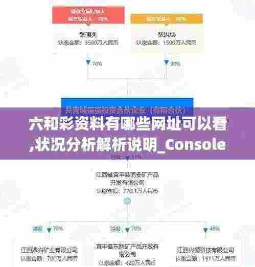 六和彩资料有哪些网址可以看,状况分析解析说明_Console3.412
